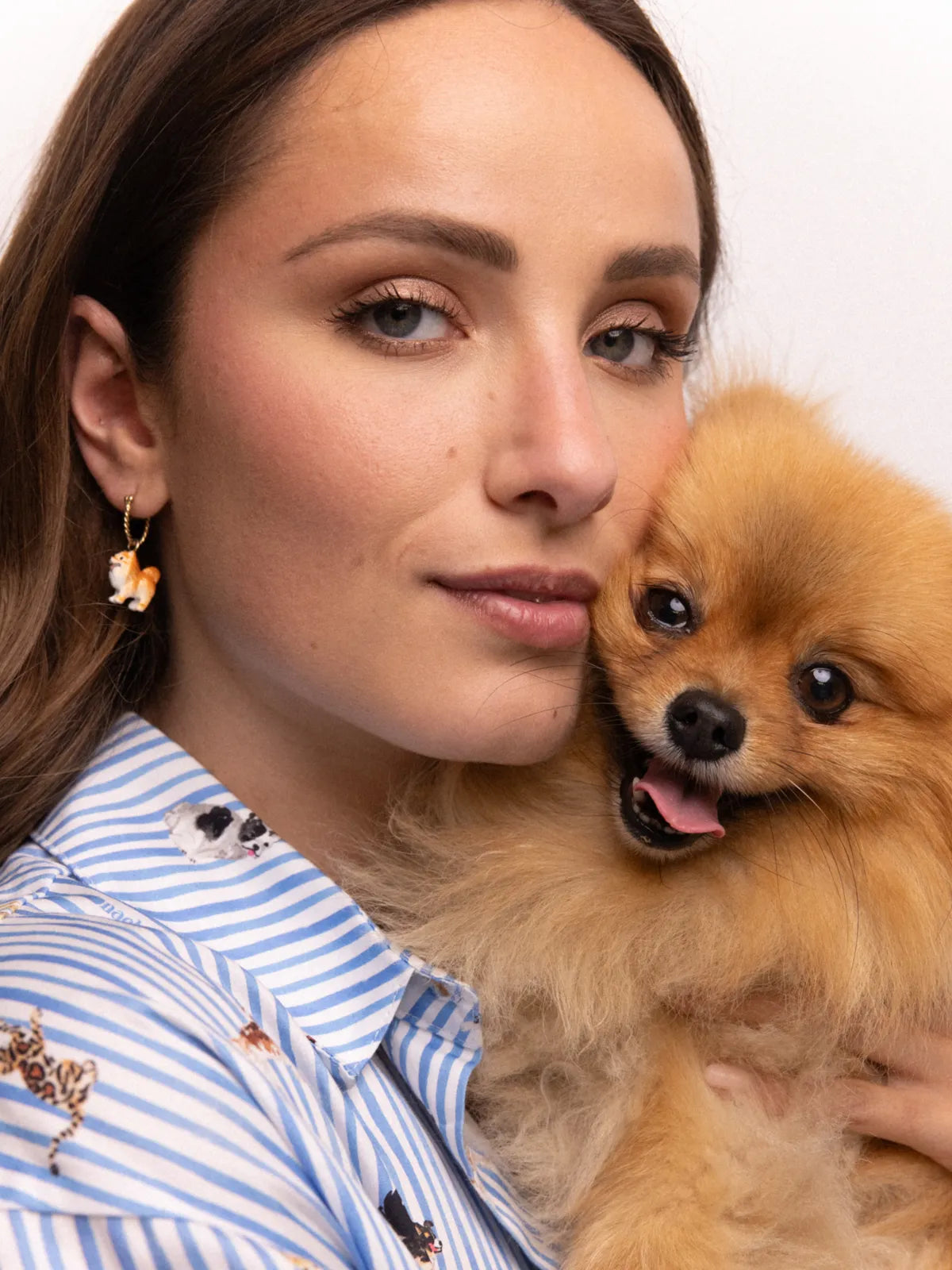 Mini créole chien Spitz - Vendue à l'unité