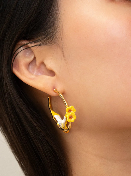 Créoles bambou perroquet et hibiscus