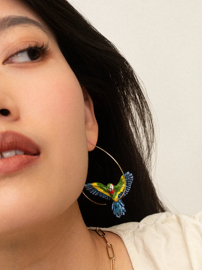 Large Creole Green Macaw Parrot in Flight