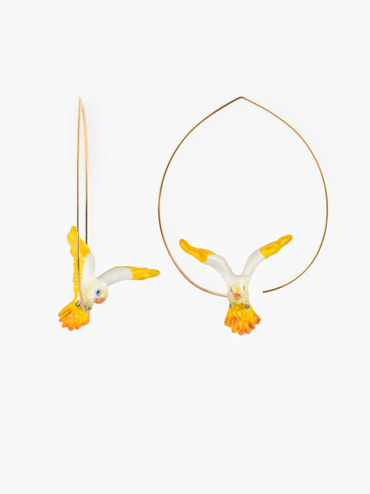 Large Creole Yellow Macaw Parrot in Flight