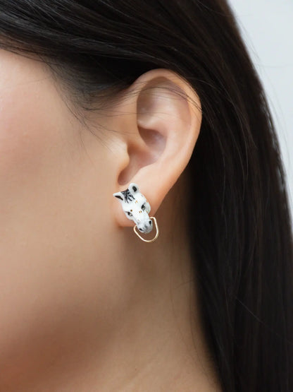 Pulci dell'orecchio della testa di cavallo bianco