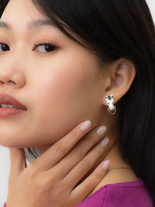 Pulci dell'orecchio della testa di cavallo bianco