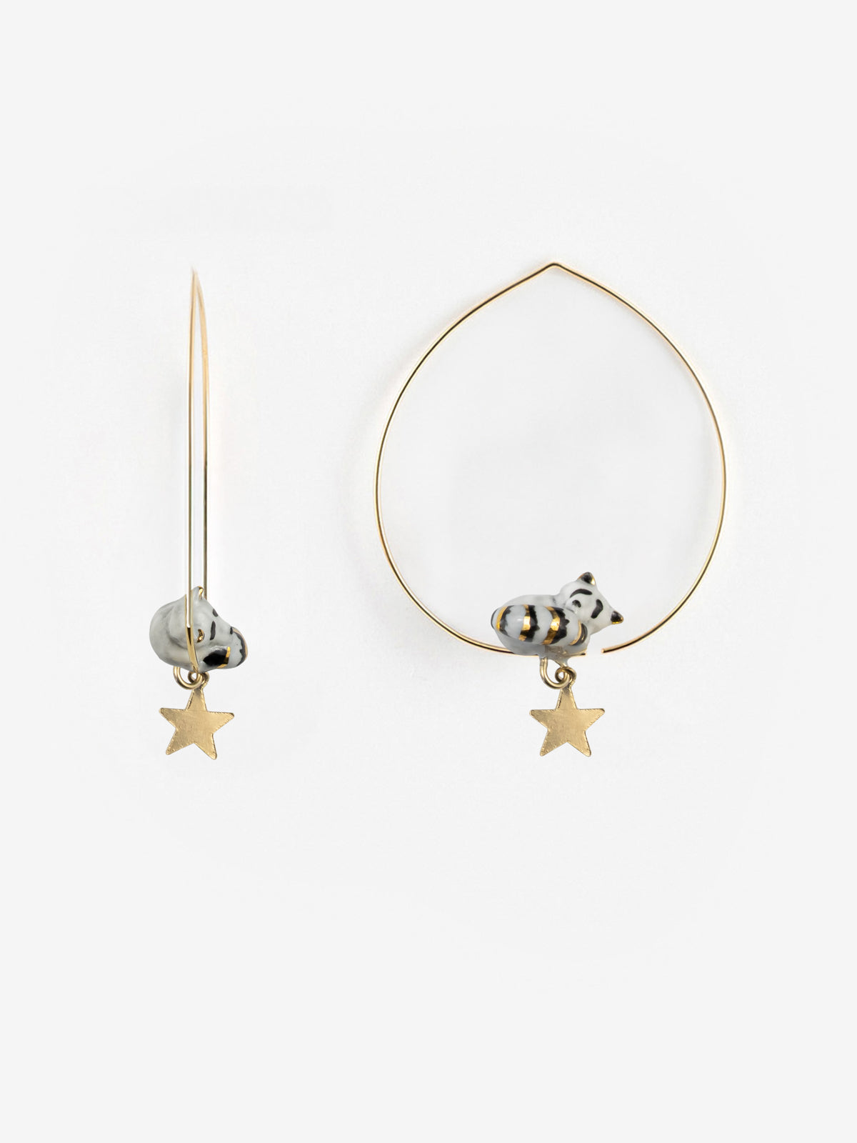 Procione e stella creoli medi