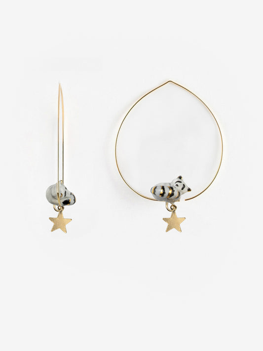 Procione e stella creoli medi