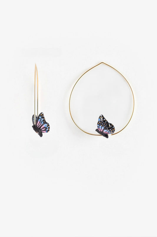 Creole averages moth