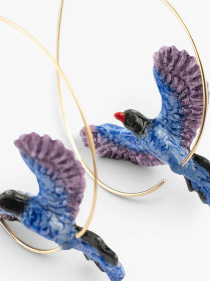 Grandes créoles pie bleue de Taïwan