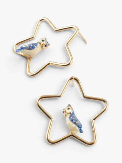 Créoles étoiles et chouette bleue