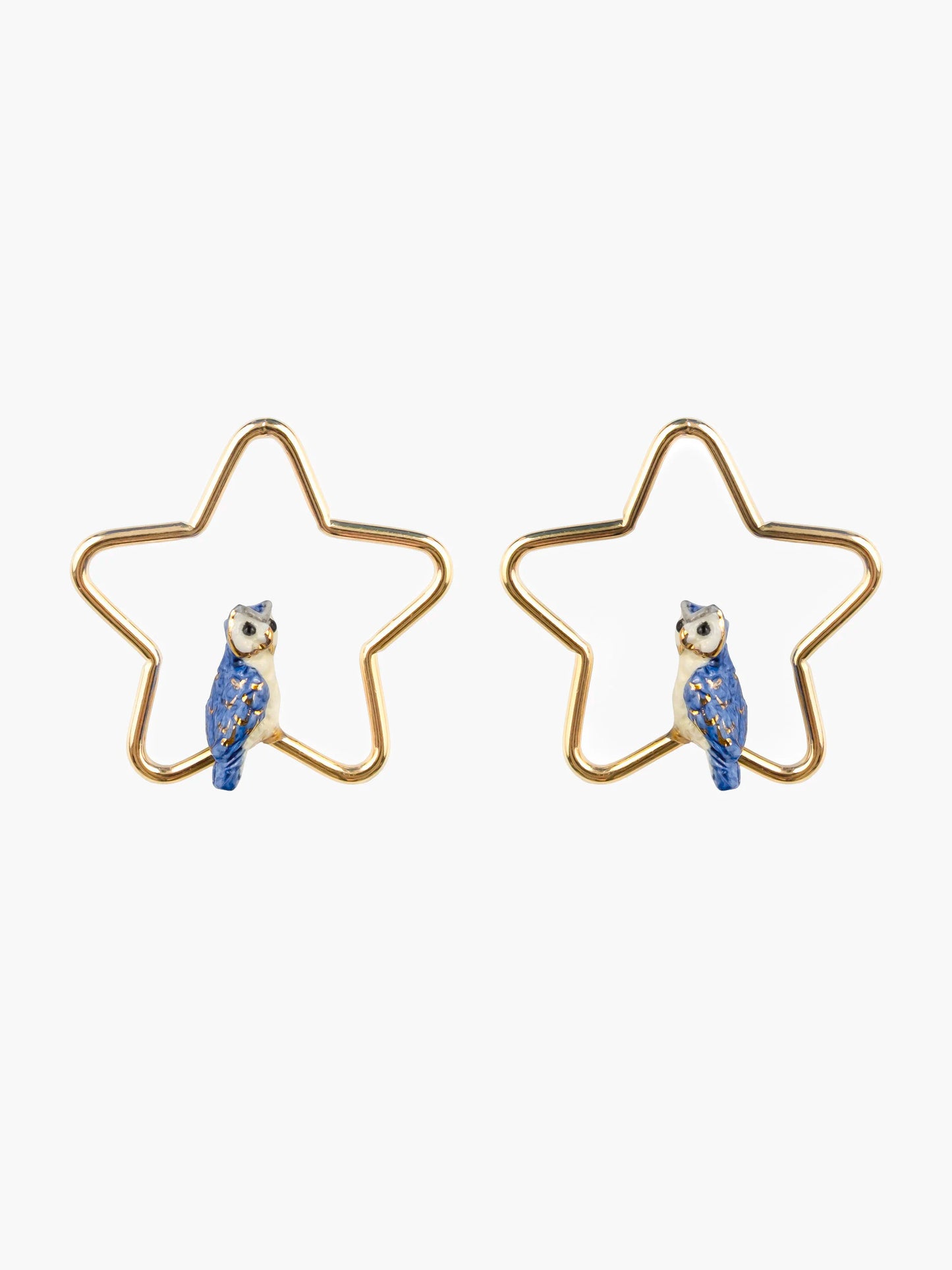 Créoles étoiles et chouette bleue