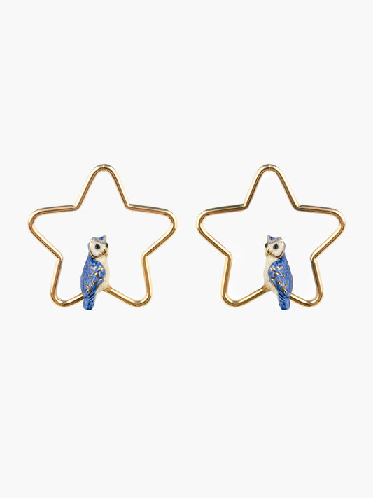 Créoles étoiles et chouette bleue