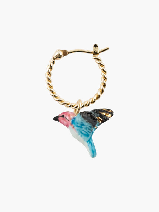 Mini créole colibri - Vendue à l'unité