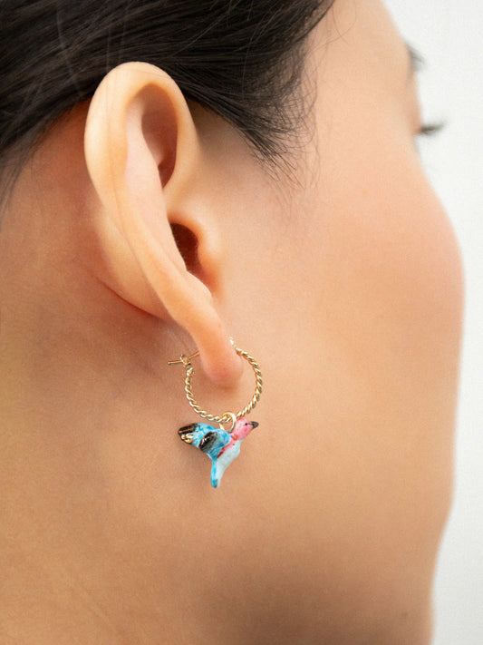Mini créole colibri - Vendue à l'unité
