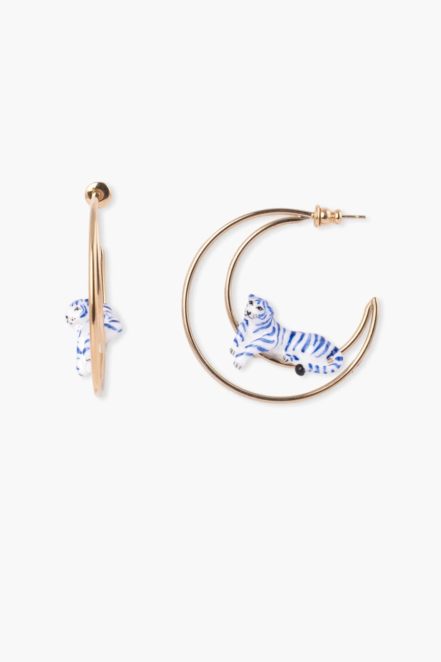 Creole moon blue tiger