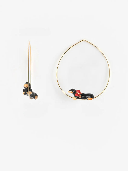 Cane bassotto creolo di taglia media - 15 anni