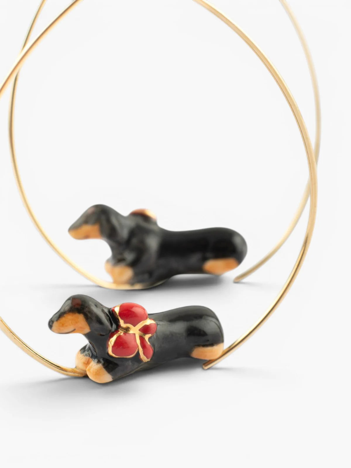 Medium-sized Creole dachshund dog - 15 years old