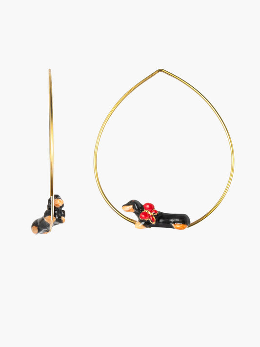 Moyennes créoles chien teckel - 15 ans