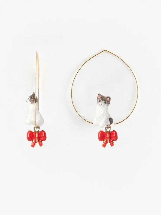 Gatto Ragdoll Creolo di taglia media - 15 anni