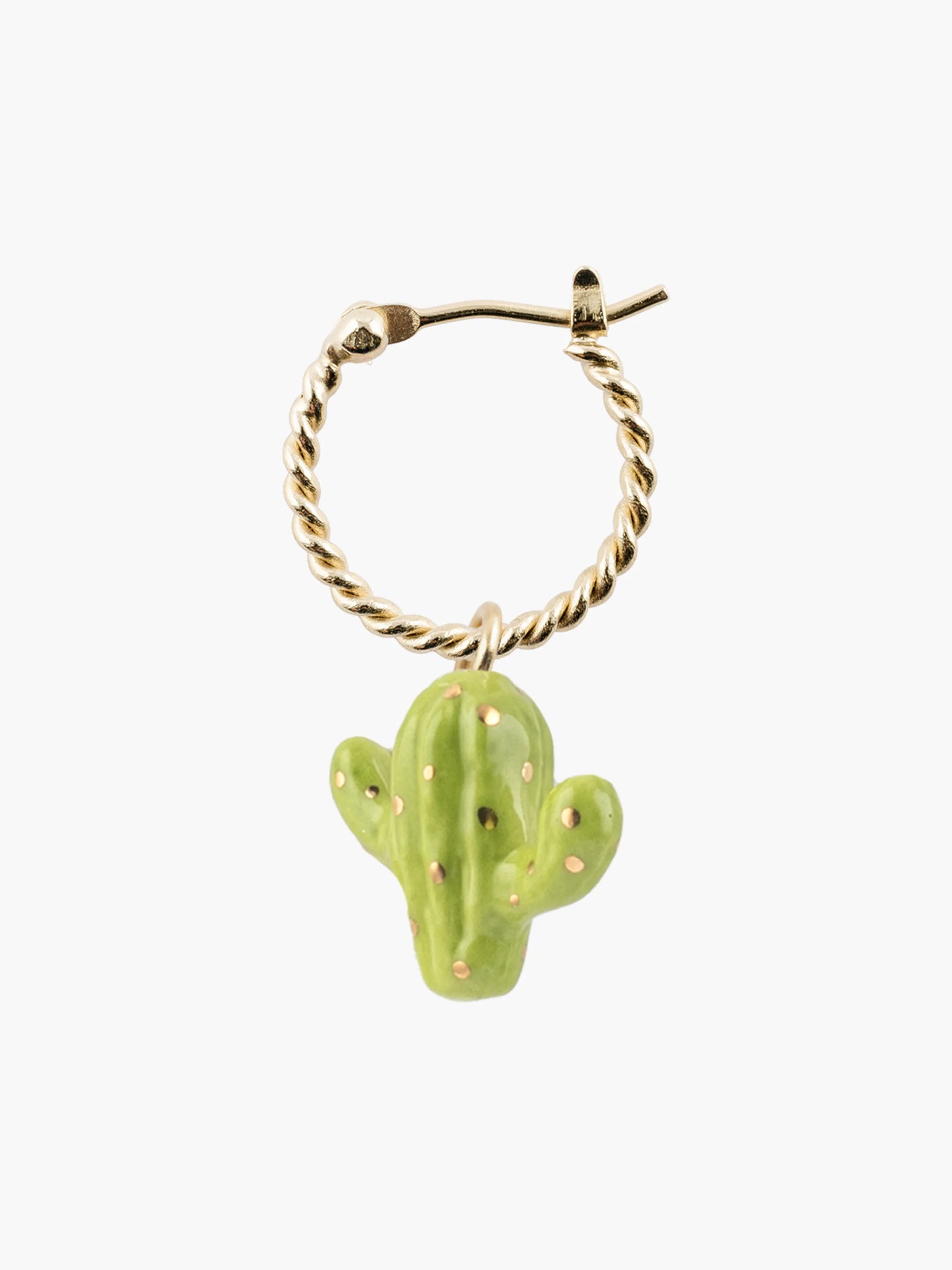 Mini créole cactus - Vendue à l'unité