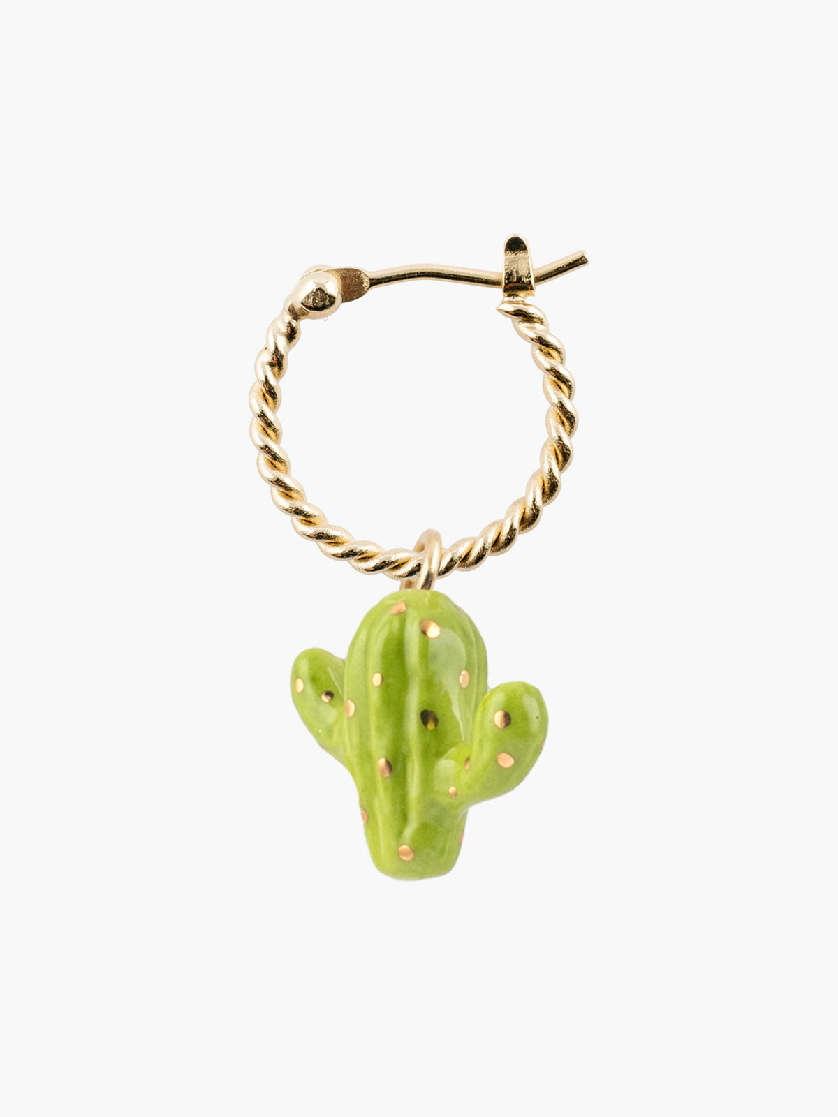 Mini créole cactus - Vendue à l'unité