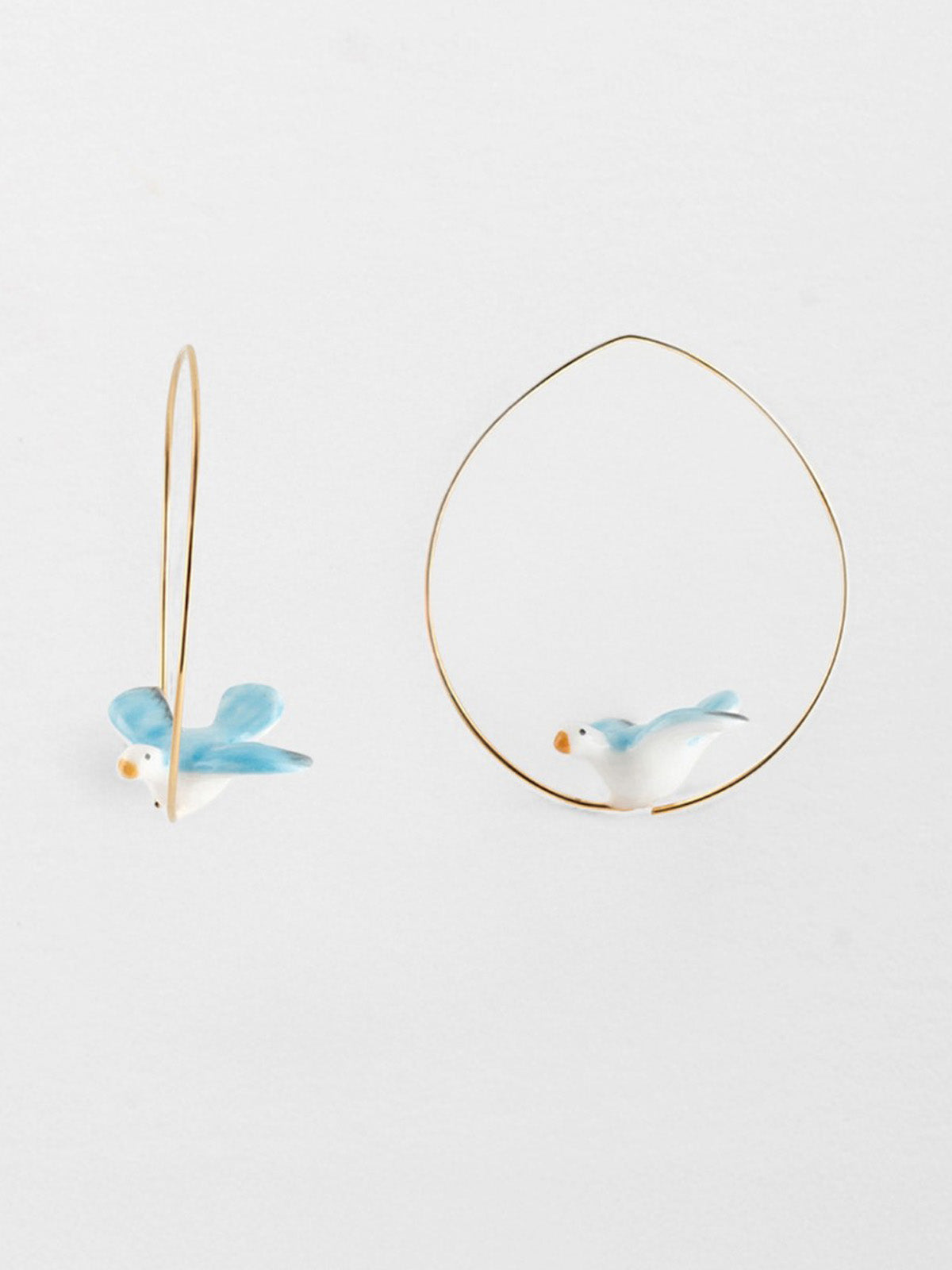 colomba creola media