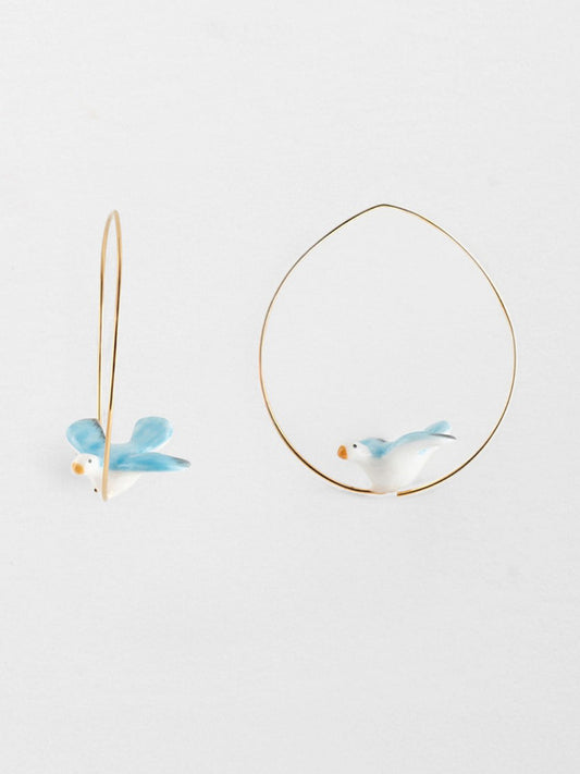 colomba creola media