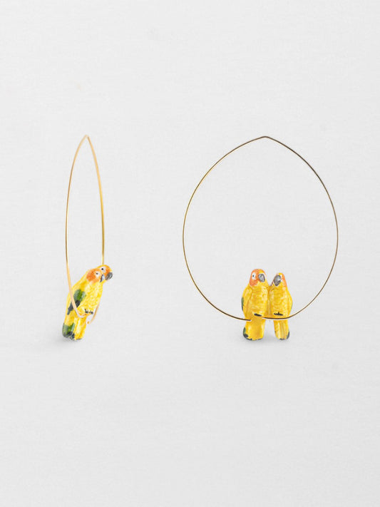 Coppia di pappagalli gialli creoli di medie dimensioni