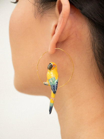 Grandes créoles oiseau conure soleil