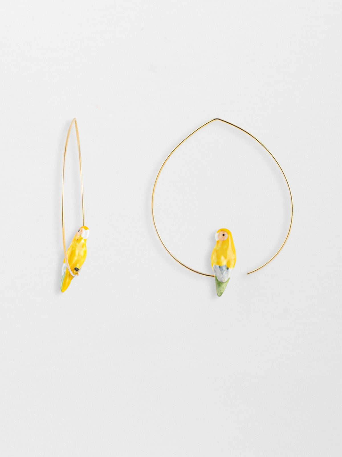 Pappagallo giallo creolo medio