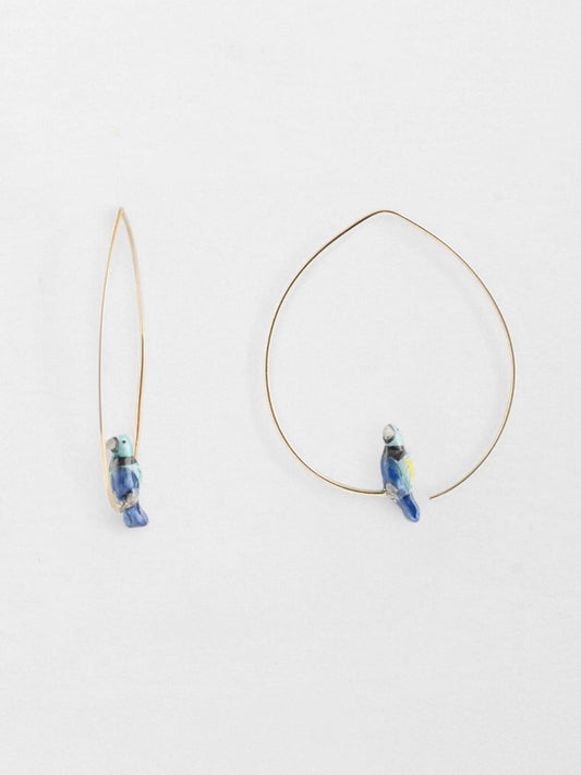 Creolo media uccello tanager