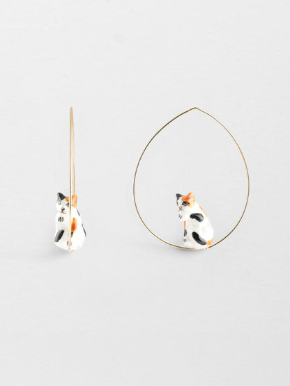 Il creolo è in media un gatto seduto