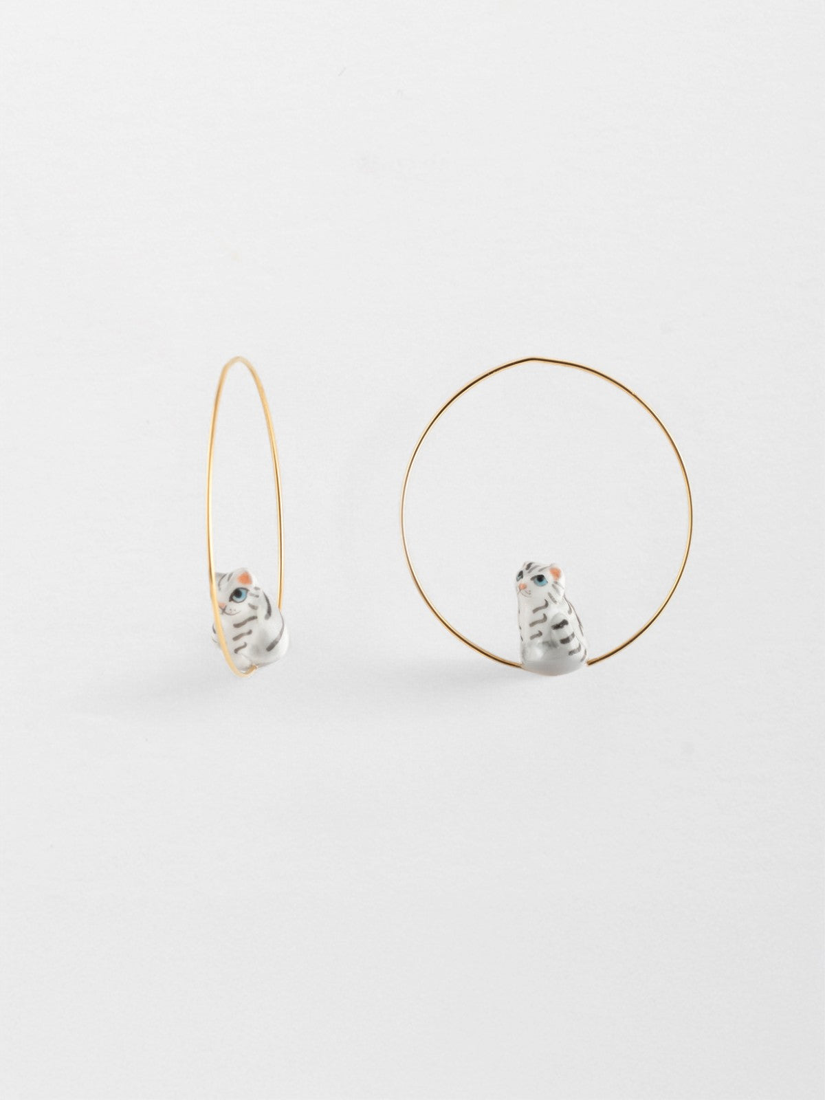 Gattino tigrato creolo di taglia media