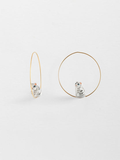 Gattino tigrato creolo di taglia media