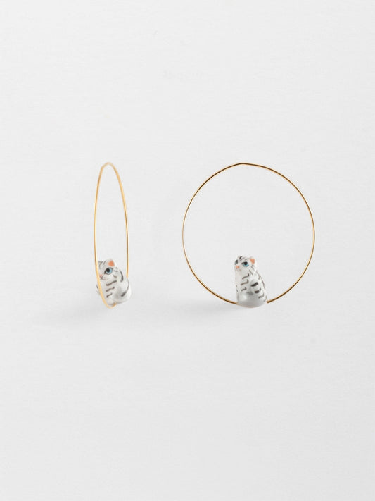 Gattino tigrato creolo di taglia media