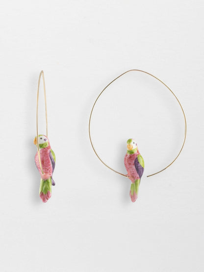 Parrocchetti creoli baffuti di medie dimensioni