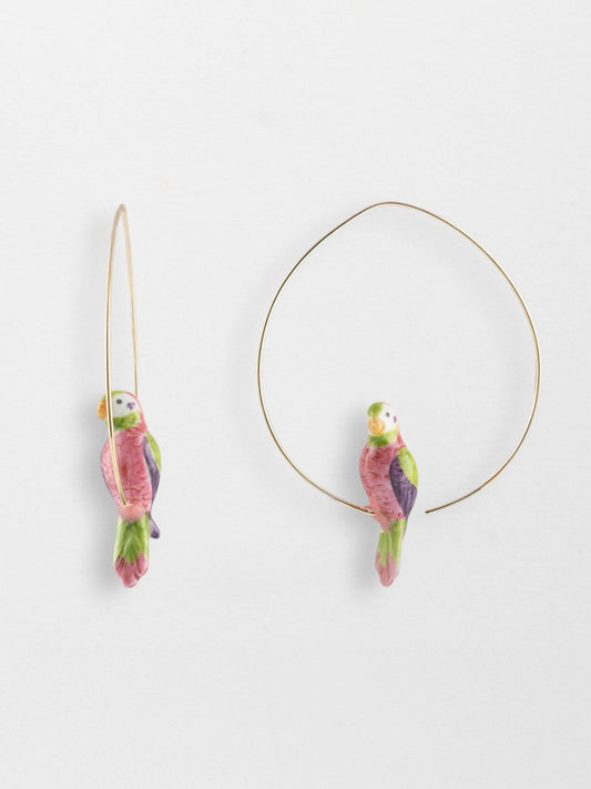 Parrocchetti creoli baffuti di medie dimensioni