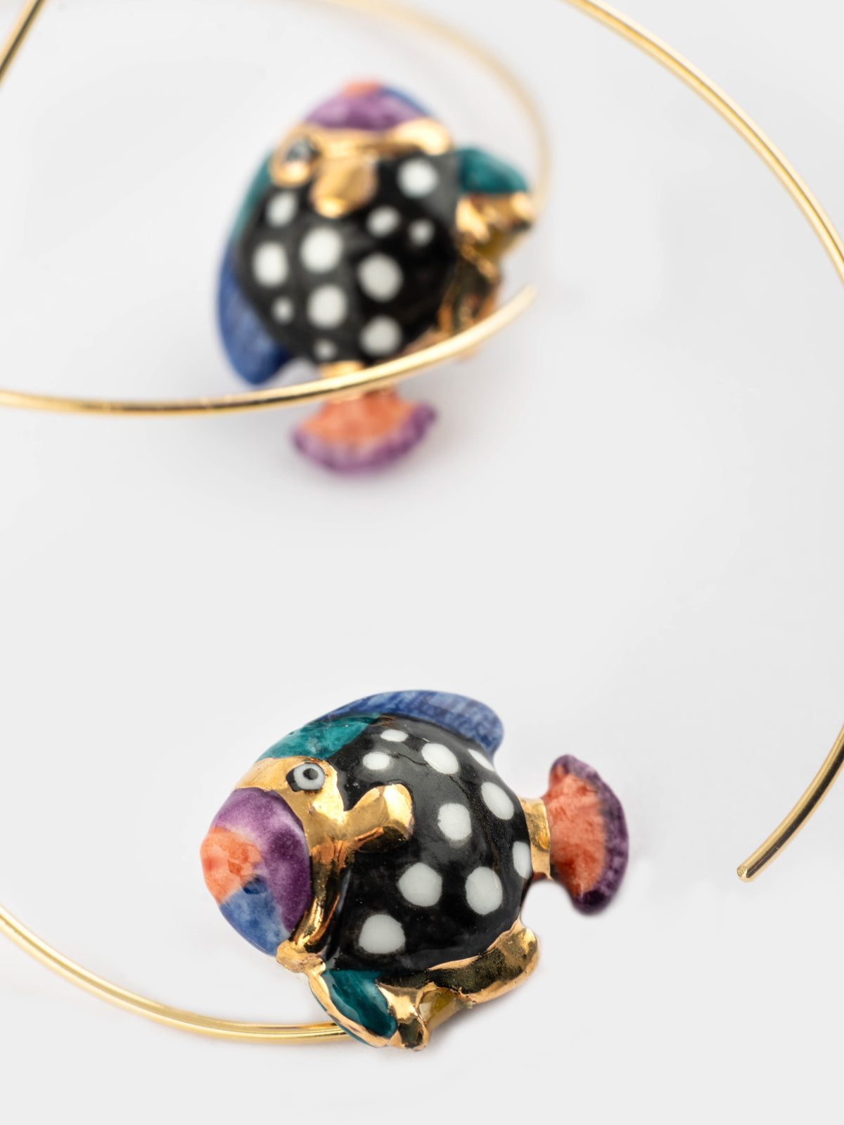 Pesce maculato creolo di medie dimensioni