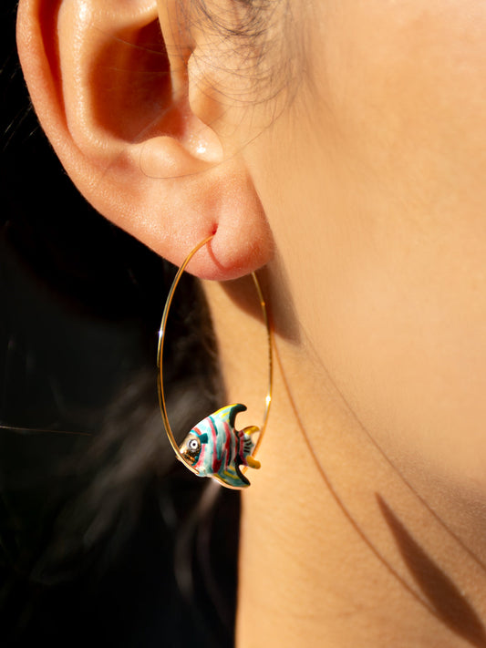 Pesce arcobaleno creolo medio