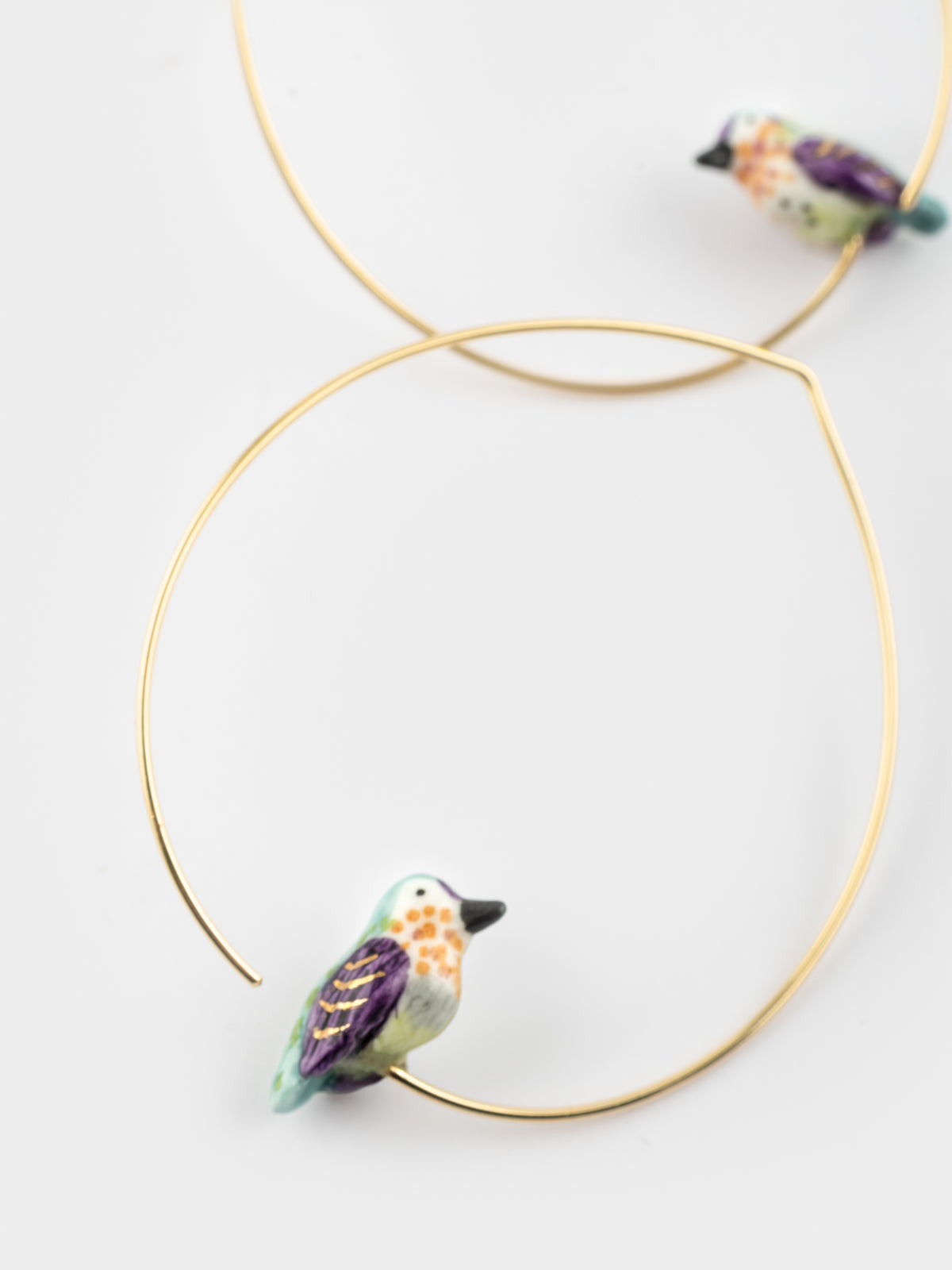 Il colibrì creolo di Anna ha una media