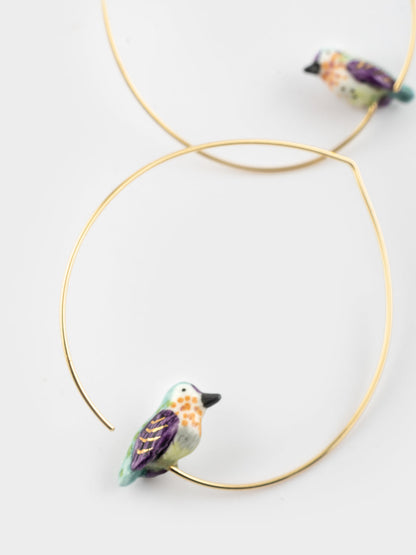 Il colibrì creolo di Anna ha una media