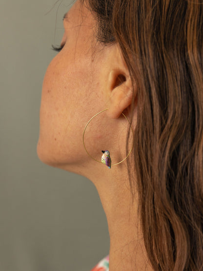 Il colibrì creolo di Anna ha una media