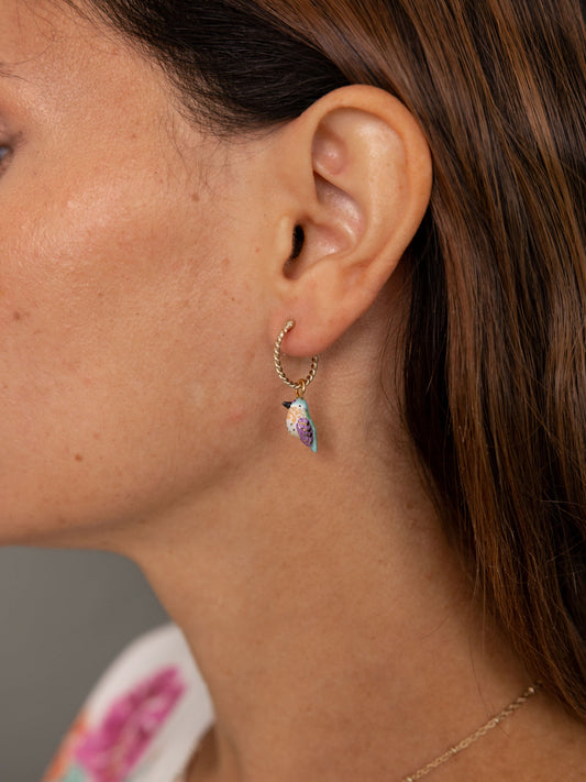 Mini colibrì creolo di Anna