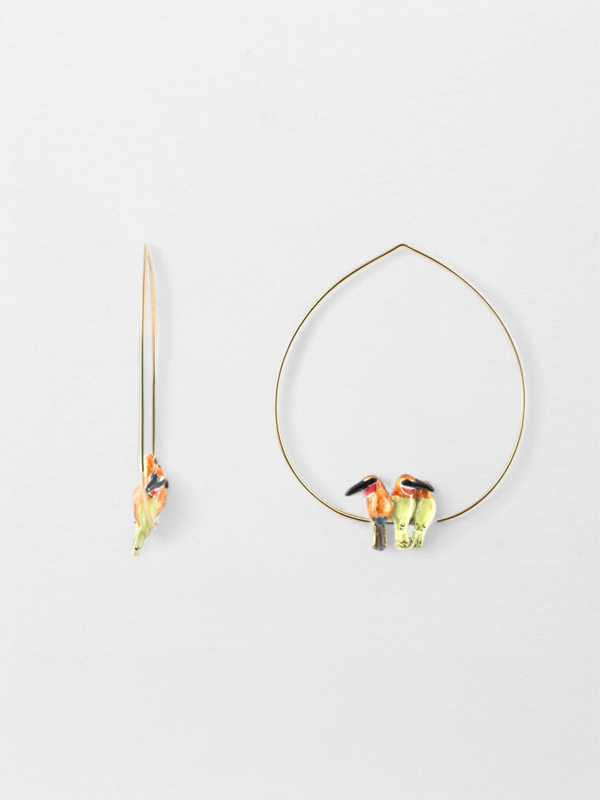 Moyennes créoles trio guêpiers d'Afrique