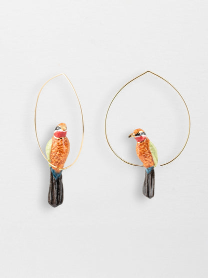 Grandes créoles guêpier d'Afrique