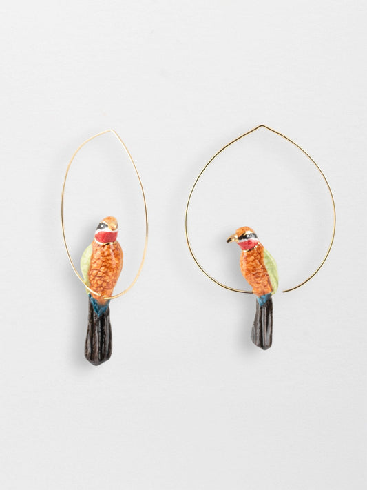 Grandes créoles guêpier d'Afrique