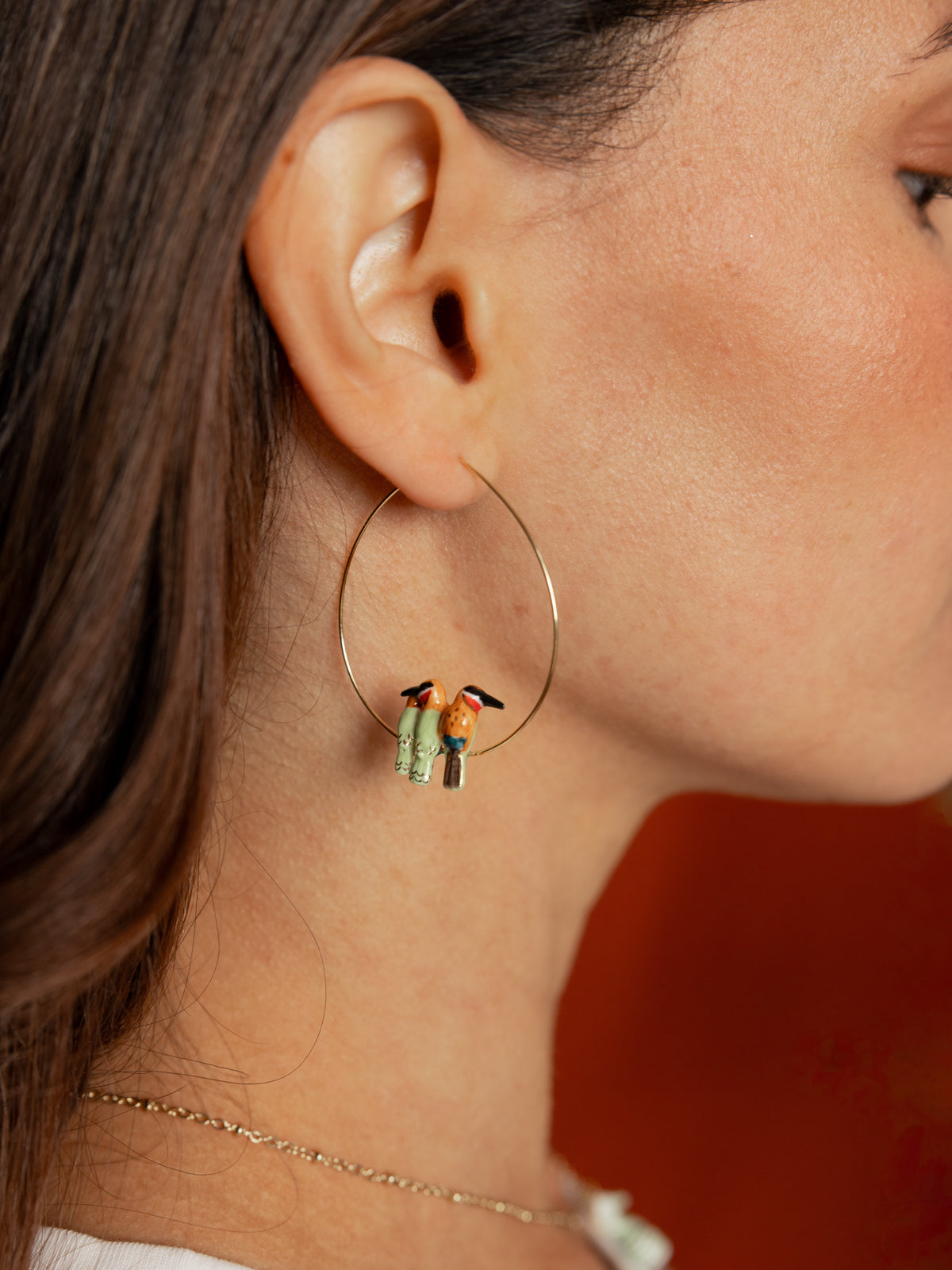 Moyennes créoles trio guêpiers d'Afrique