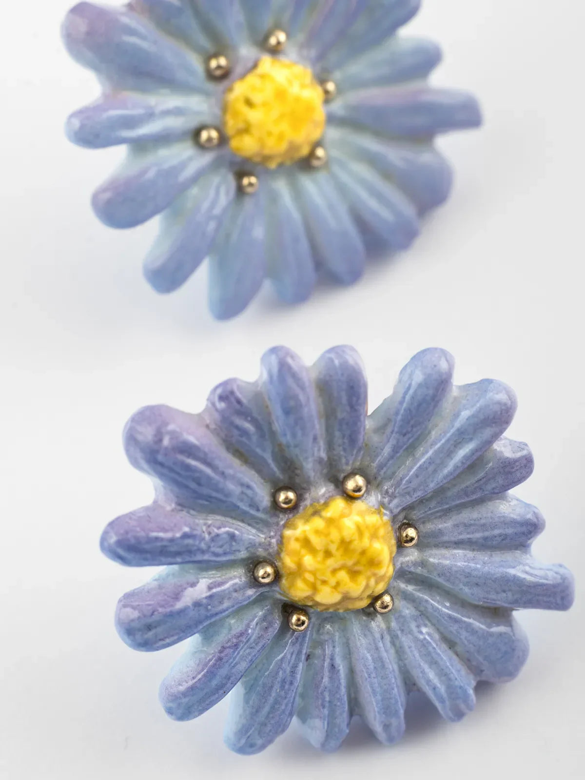 Blue anemone ear fleas