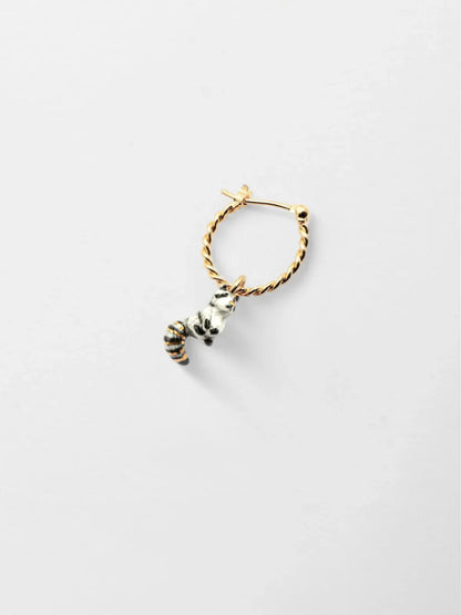 Mini créole raton Laveur - Vendue à l'unité