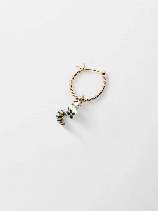 Mini créole raton Laveur - Vendue à l'unité