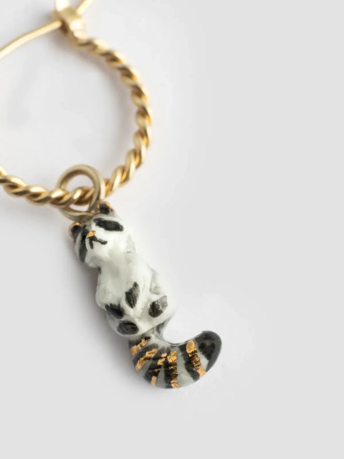 Mini créole raton Laveur - Vendue à l'unité