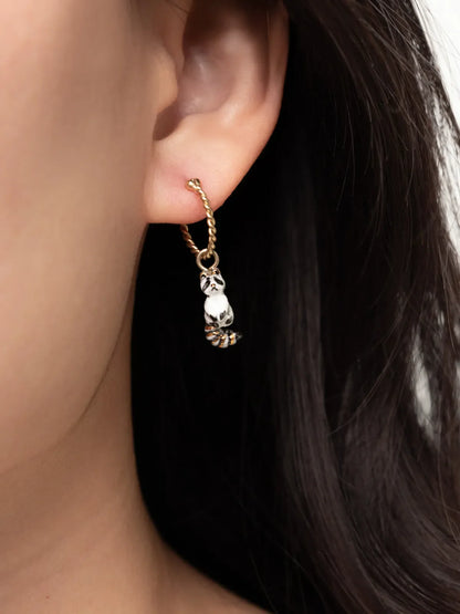 Mini créole raton Laveur - Vendue à l'unité