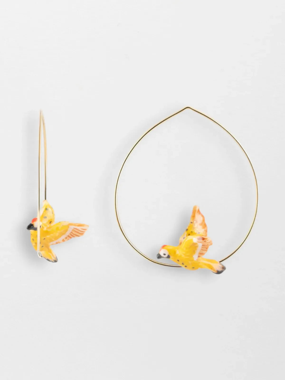 Grandes créoles oiseau Pic Flamboyant